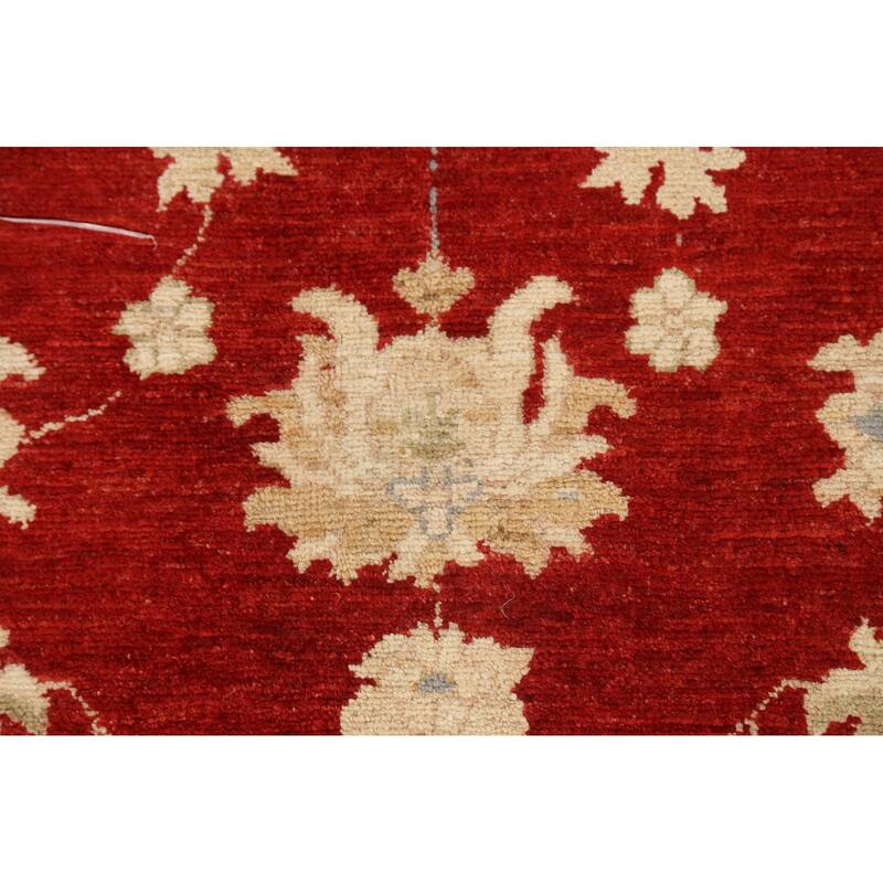 Vegetable Dye Floral Ziegler Oriental Wool Area Rug Handmade Carpet - 10'1" x 13'8"