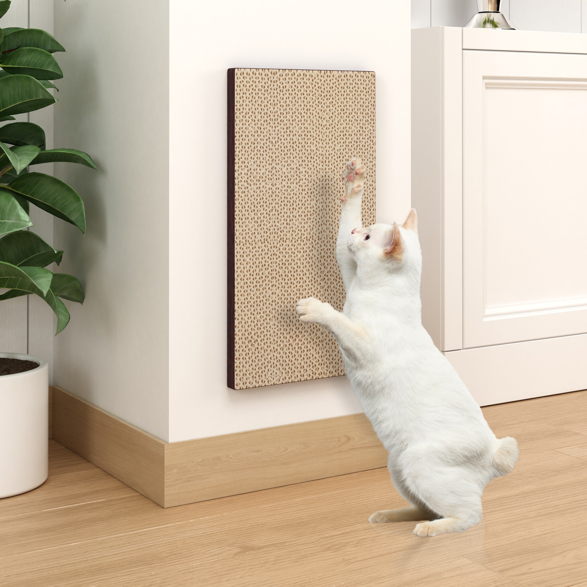 Catnip scratching post sale