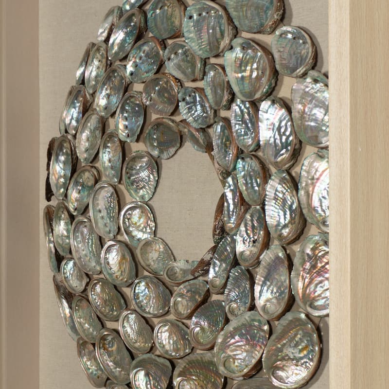 HUJI Abalone Shell Rings Shadow Box Wall Decor
