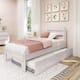 Option White Wash