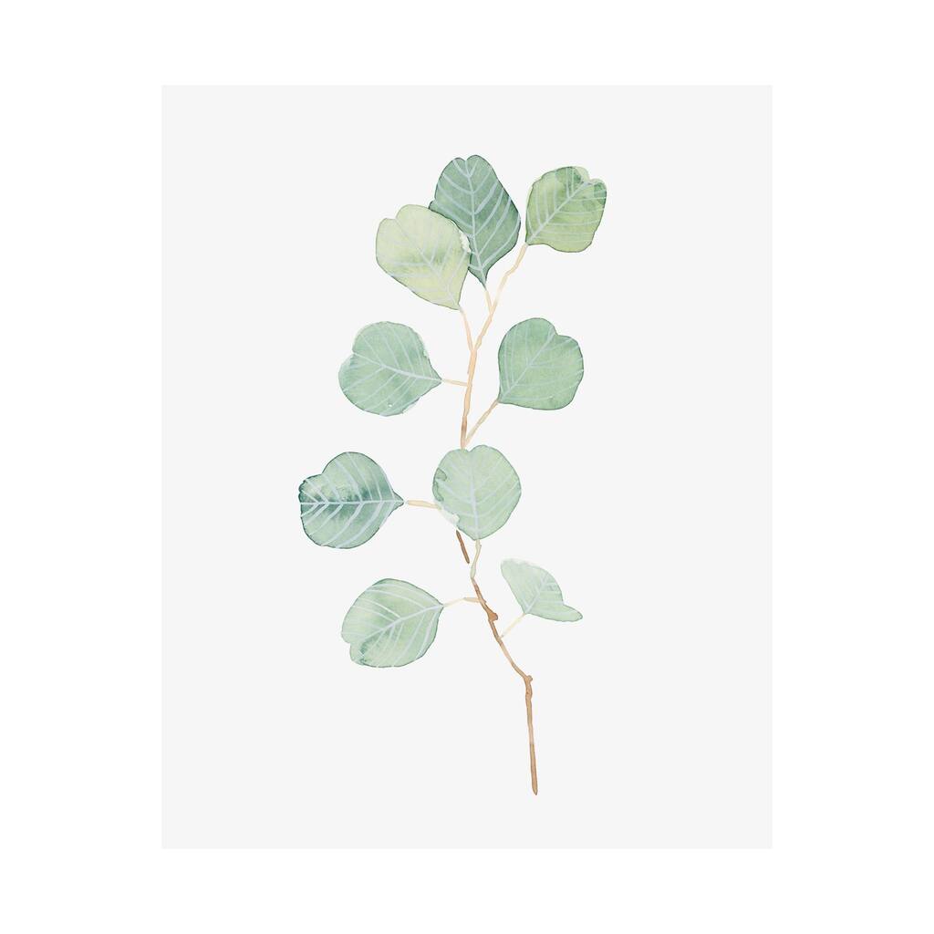 Soft Eucalyptus Branch IV (40 x 50) Canvas Art Print