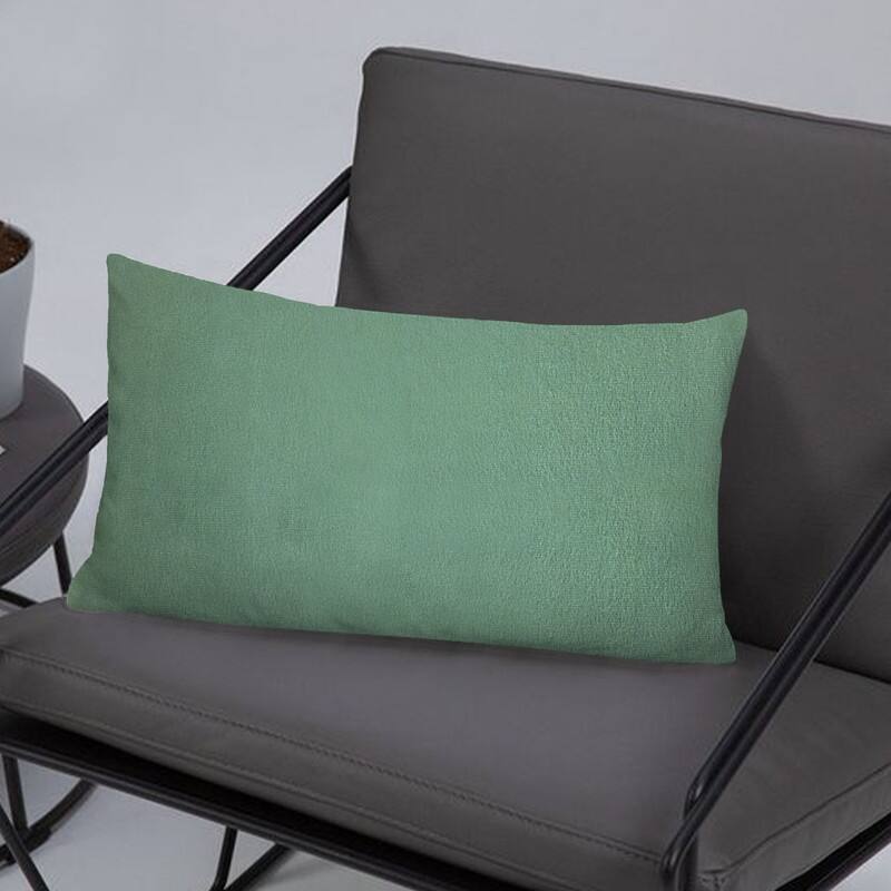 A1HC Pack of 2 Velvet Throw Pillow Insert, Hypoallergenic Down Alternative Fill