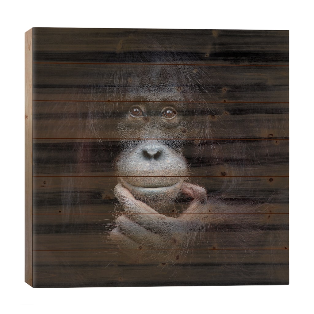 The Mirror Image Print On Wood by Antje Wenner-Braun - Multi-Color