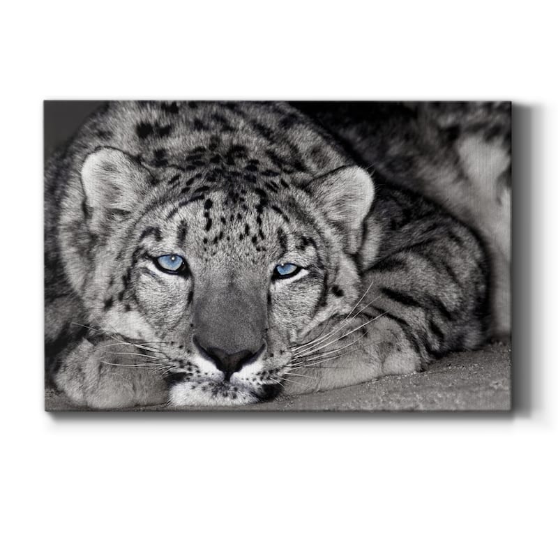 Snow Leopard Sanctuary Premium Gallery Wrapped Canvas - Ready to Hang - 18X27