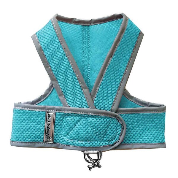 turquoise dog harness