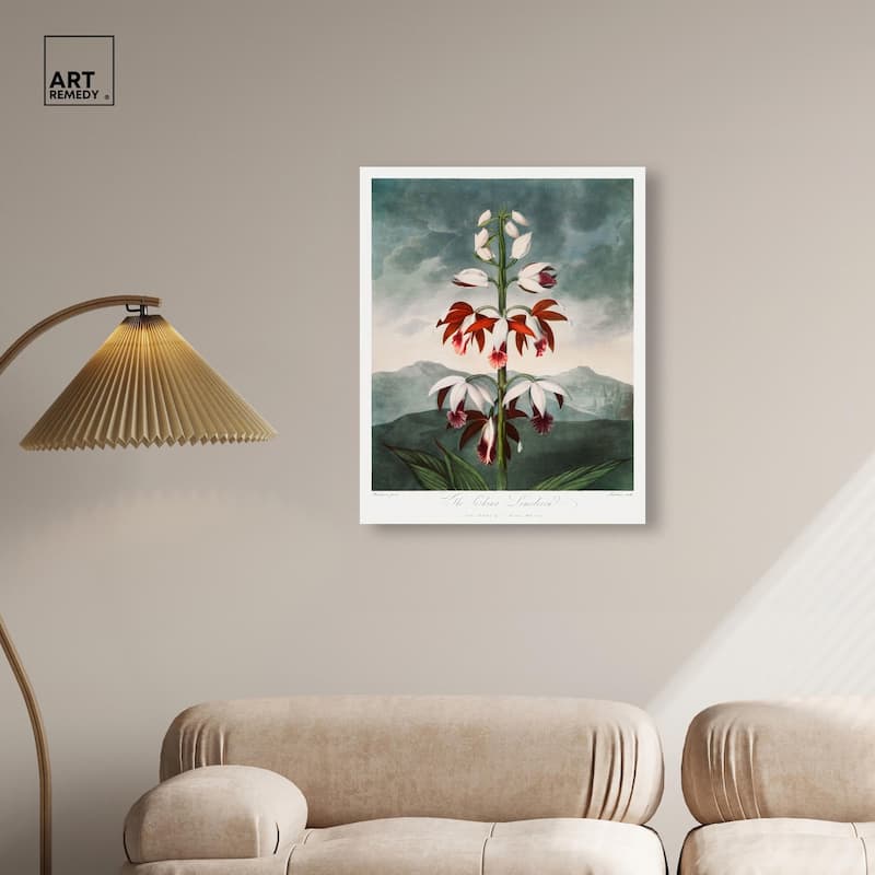 The China Limodoron 1807 Canvas by Art Remedy, Gallery Wrapped