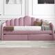Option Pink