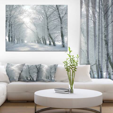Winter Road Backlit my Morning Sun' Modern Forest Canvas Wall Artwork Print - White