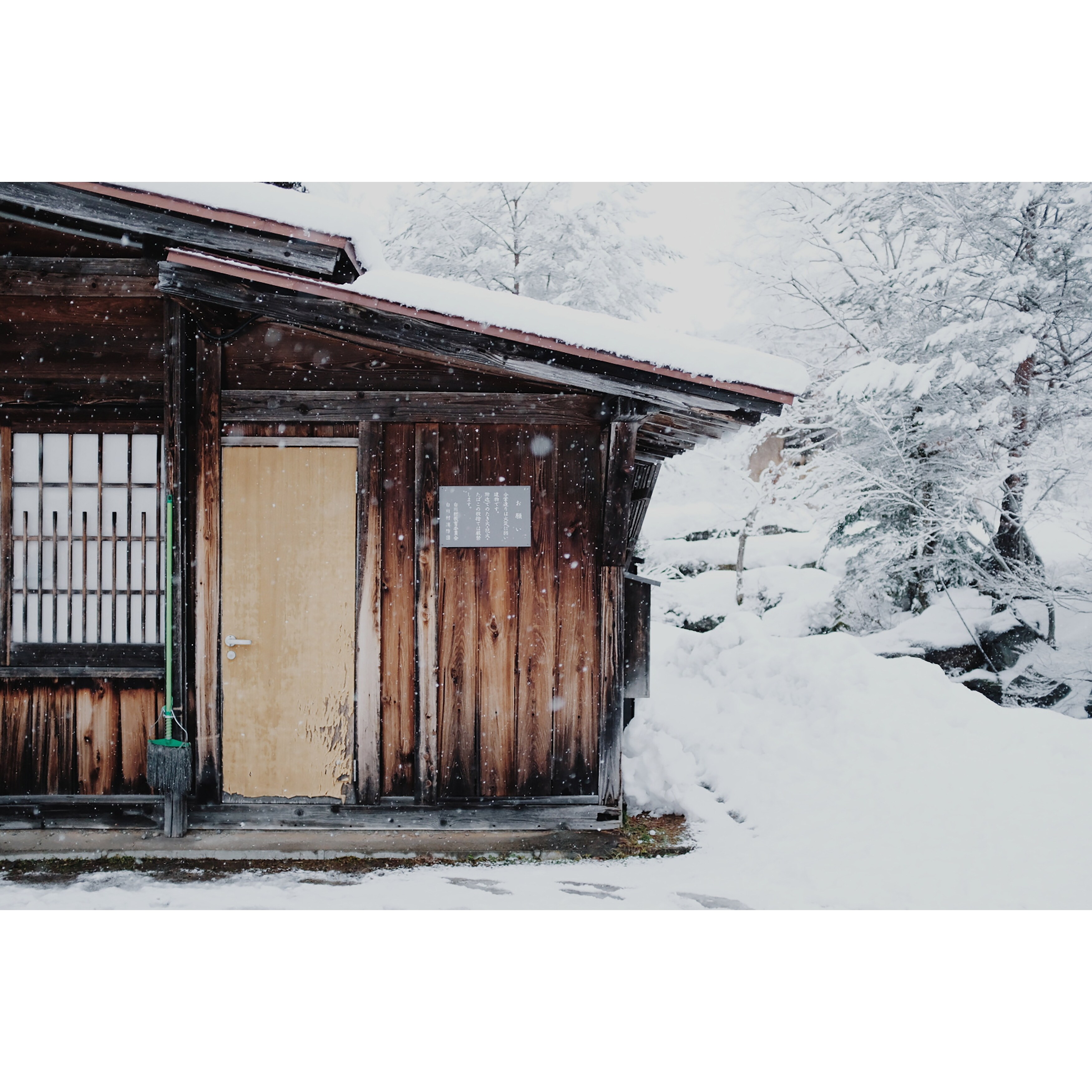 Shop Forest Architecture Door Photograph Art Print Wall Artwork