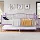 Option Purple