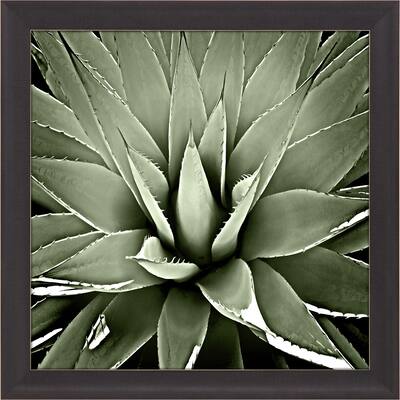 Green Succulent III Framed Art Giclee Under Glass