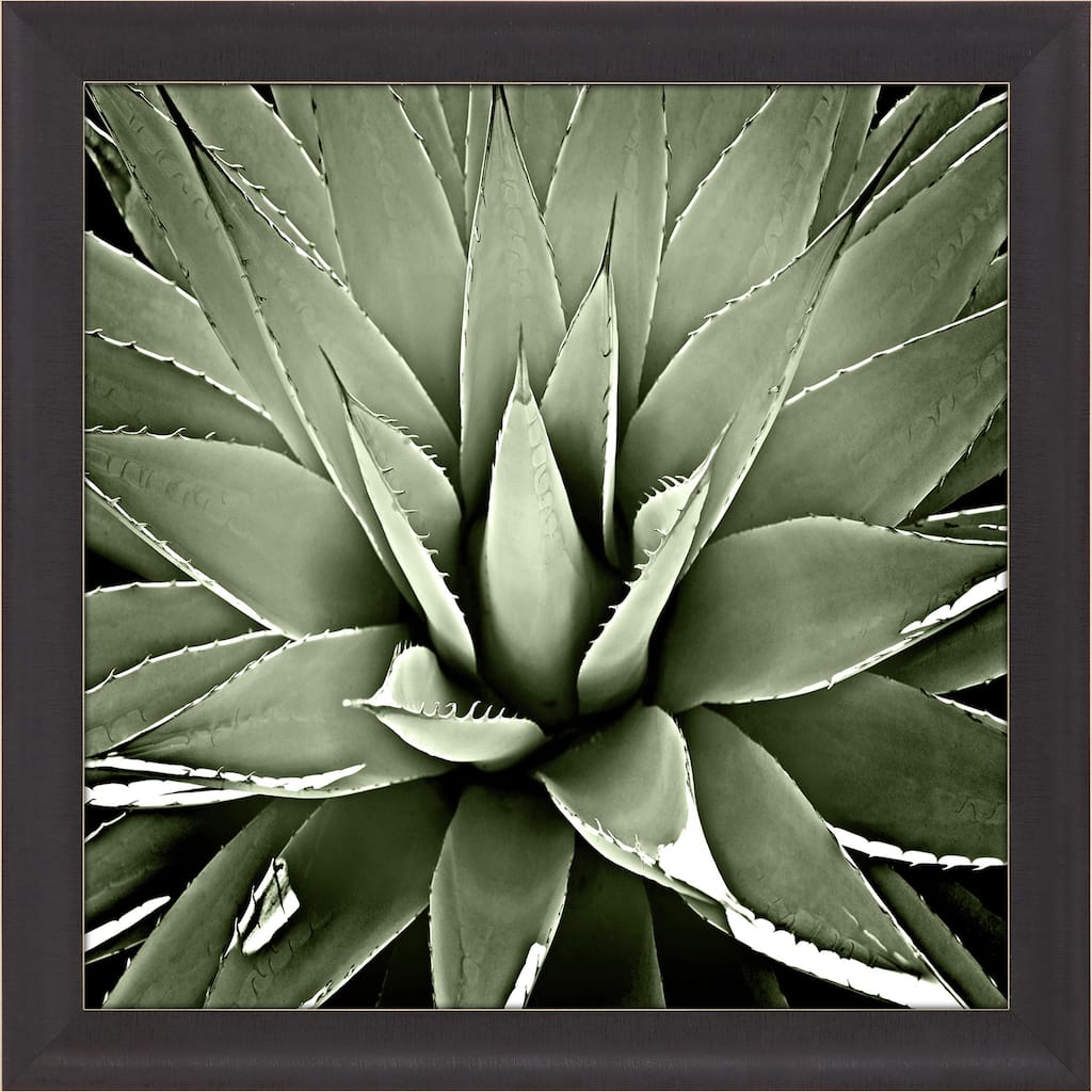 Green Succulent III Framed Art Giclee Under Glass