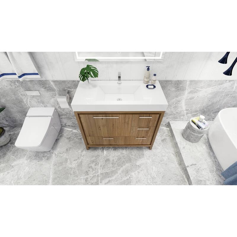 Dove 42'' Freestanding Vanity with Reinforced Acrylic Sink