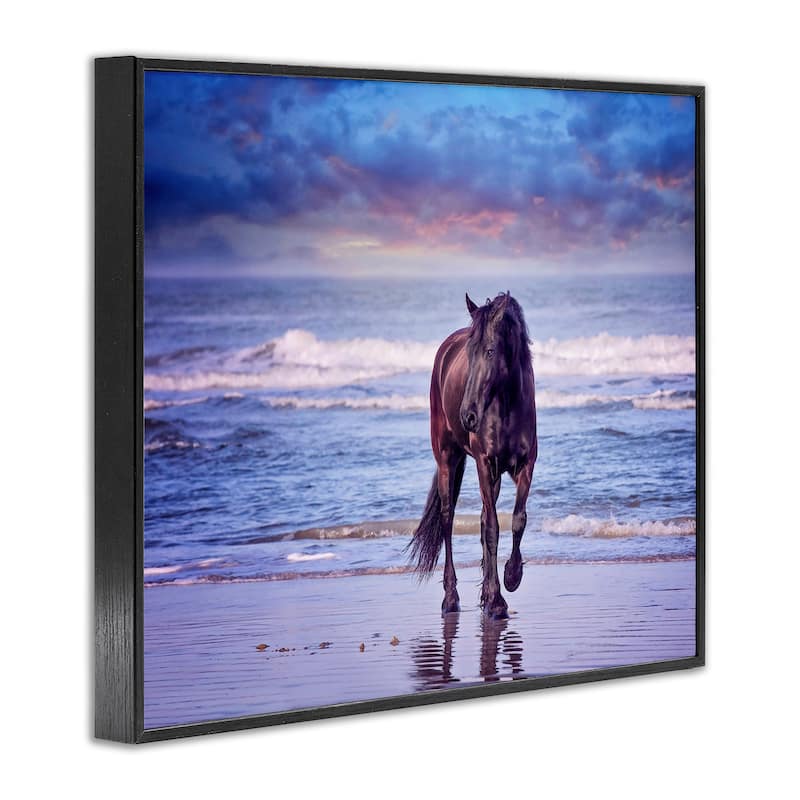 Stupell Wild Horse on Beach Colorful Blue Sunset Framed Giclee Texturized Art by PHBurchett