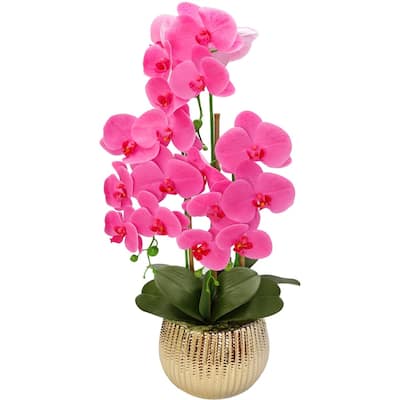 Pink Orchid plant in Round Striped gold design vase