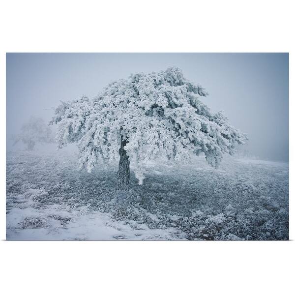 Shop Frozen Tree With Snowy Landscape In Winter Season Poster