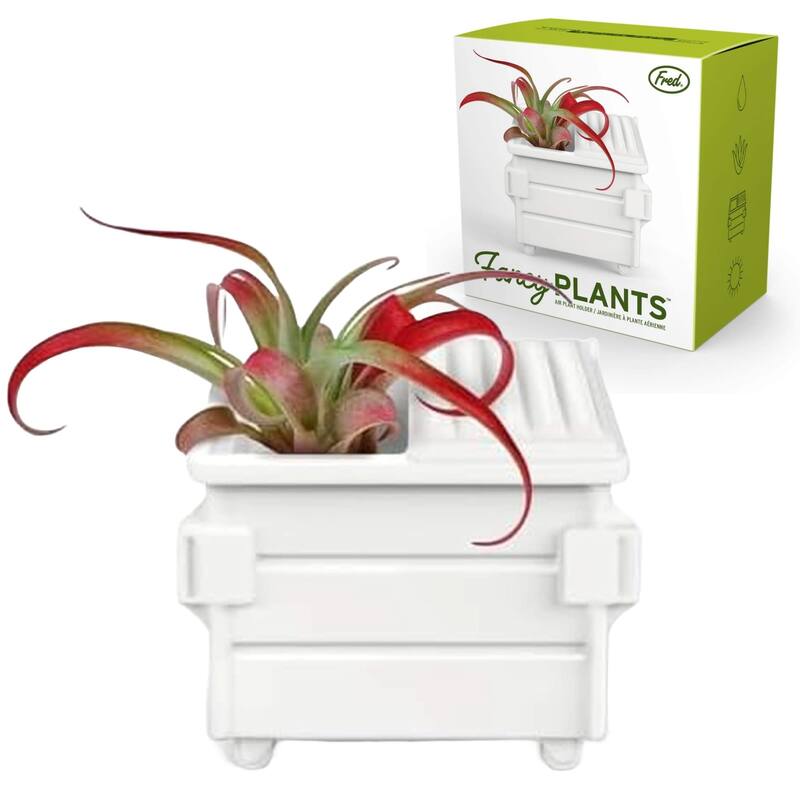 Fred Fancy Plants Dumpster Shaped Air Plant Holder - White - 3.5" x 2.75"
