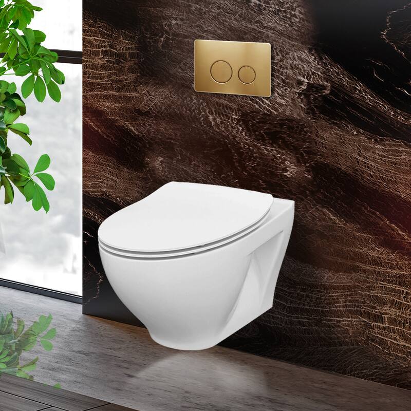 Toilet Combo Set - 20" Toilet Bowl With Soft-Close Seat, 2"x 6" Concealed Tank/Carrier System, Push Buttons Included. - Satin Brass Round - Push Plates (Metal)
