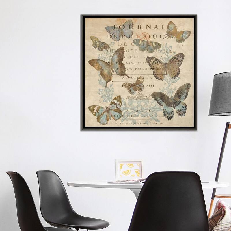 iCanvas "Papillon I" by Deborah Devellier Framed