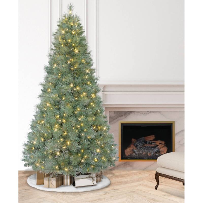 7.5ft Pre-lit Windham Fir, 1099 Branch Tips, 500 Warm White LED Rice Lights