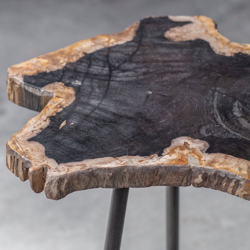 Uttermost Mircea 16" Wide Cross Section Petrified Wood Accent Table by
