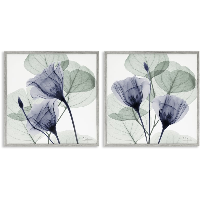 Stupell Fading Florals & Herbs Framed Giclee Art Design By Albert Koetsier (Set of 2) - 24 x 24 - Grey