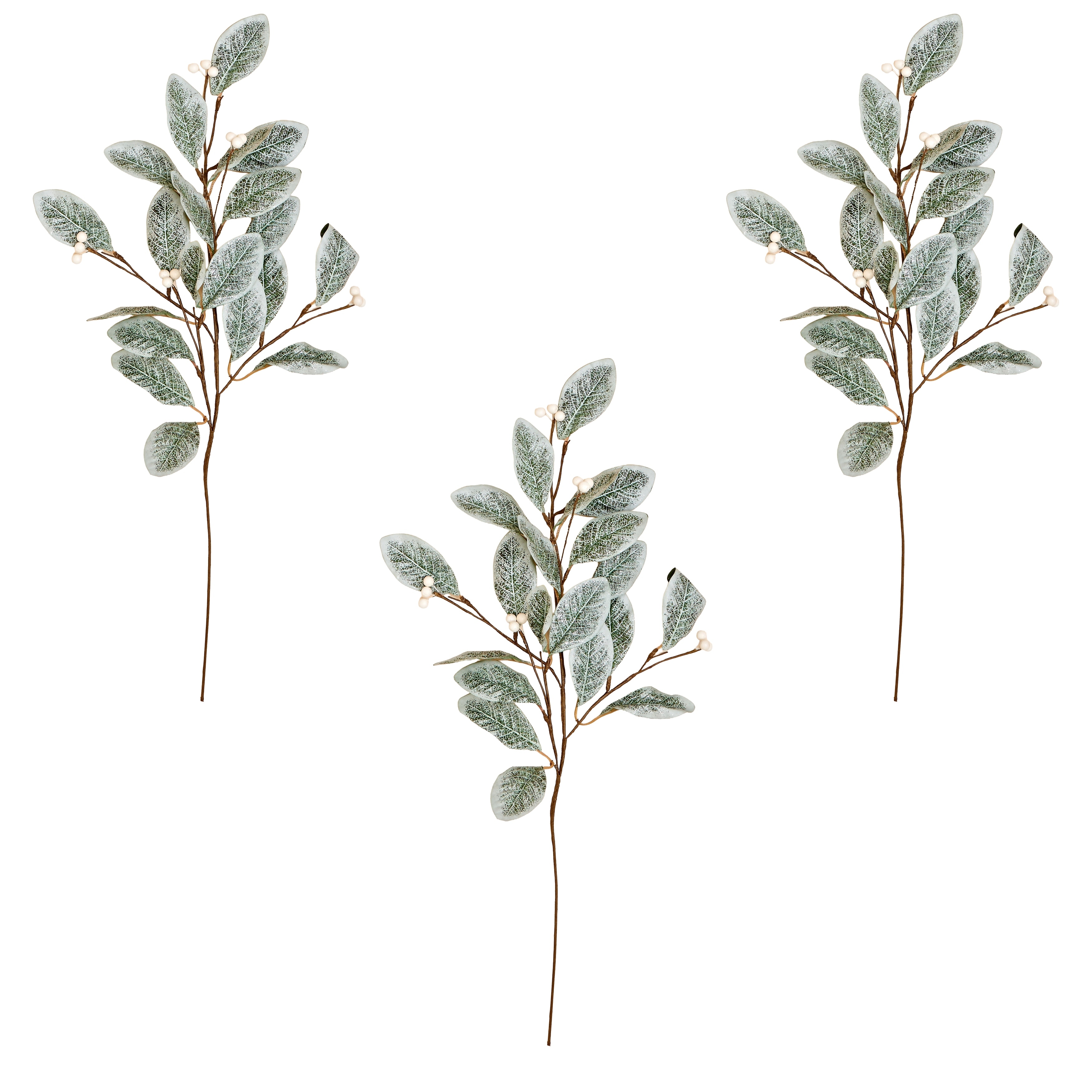28" Magnolia Spray w/ Leaves & White Berries, Set of 3 - Green