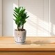 preview thumbnail 2 of 17, 8" Striped Ceramic Flowerpot Windowsill Modern Garden Planter with Drainage Hole (Set of 2) - 7.48 in.W x 7.48 in.D x 8.07 in.H