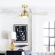 preview thumbnail 1 of 17, Fanimation Klear 56 inch Indoor/Outdoor Smart Ceiling Fan with LED CCT Select Light Kit and Remote - Brushed Satin Brass & White