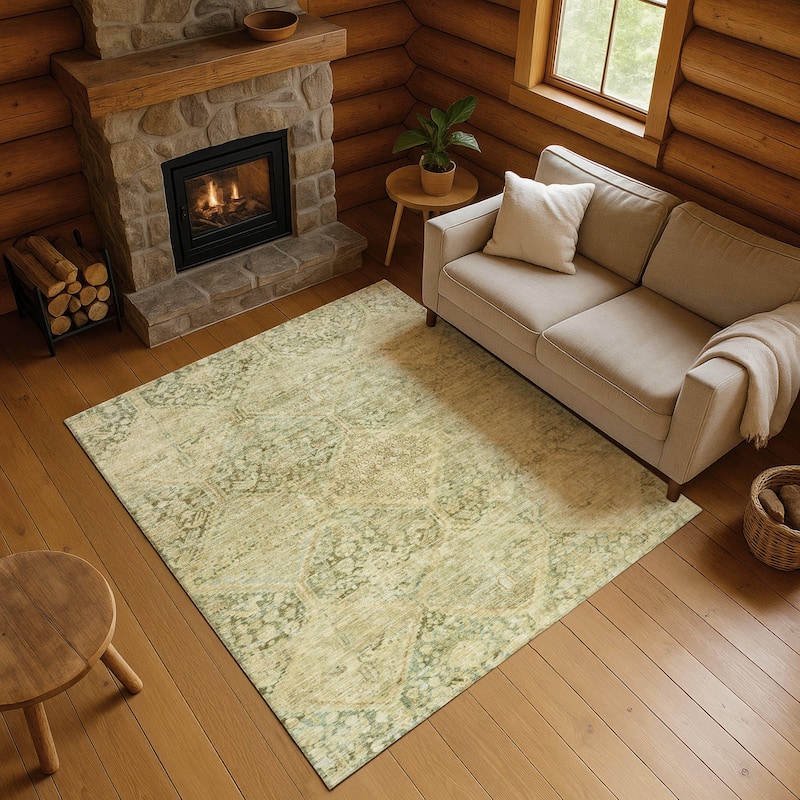 Premium Washable Super Soft Vintage Traditional Mayfield Rug - Fern - 8' x 10'