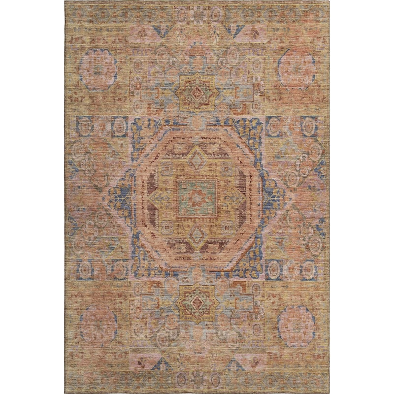 Premium Washable Super Soft Vintage Traditional Mayfield Rug