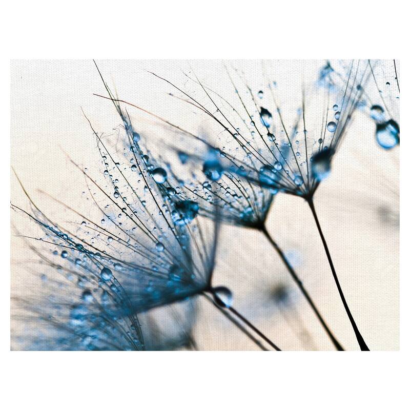 Mystic Blue by PhotoINC Studio Canvas Art Print
