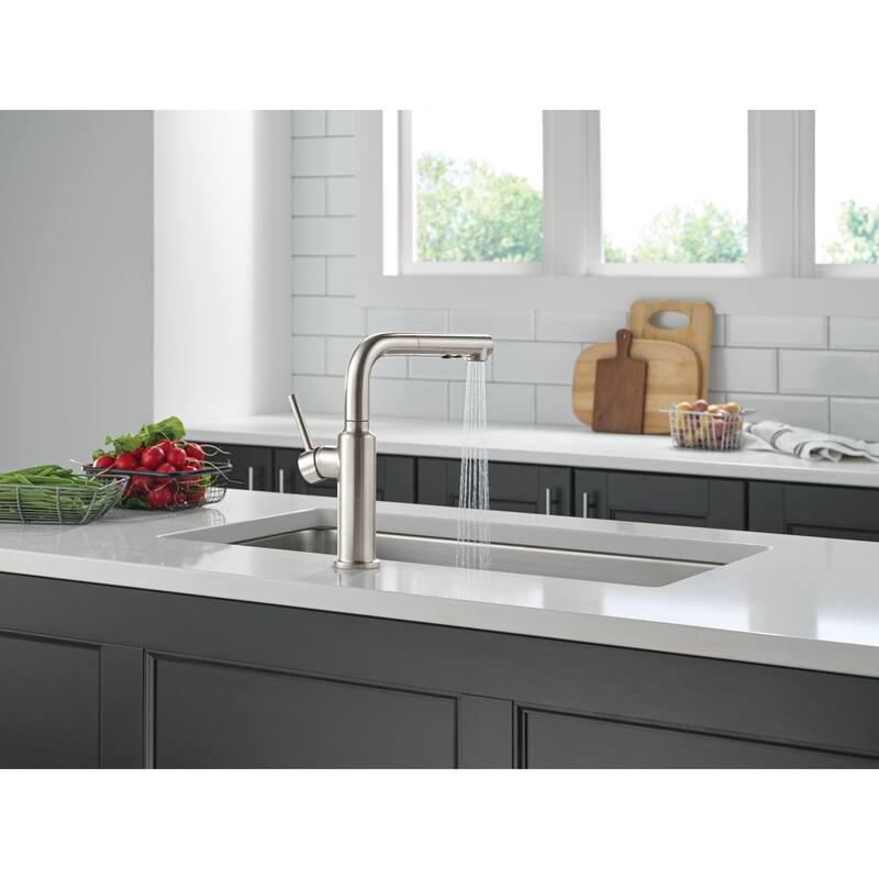 Delta 16879-DST Daneri 1.8 GPM Single Handle Pull Out Kitchen Faucet