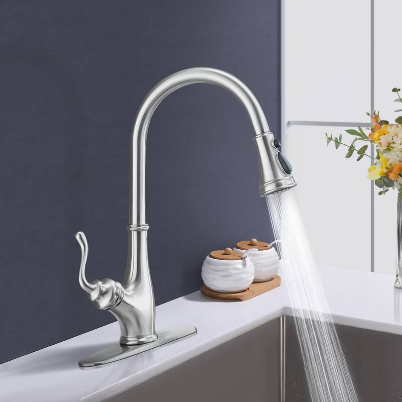 Topcraft Pulldown Single Handle Single Hole Kitchen Faucet