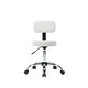 preview thumbnail 10 of 54, Adjustable Rolling Work Stool with Faux Leather Seat and Foldable Footrest, Versatile Stool for Home Office, Vanity,