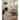 Alexander Home Eberdeen Transitional Area Rug