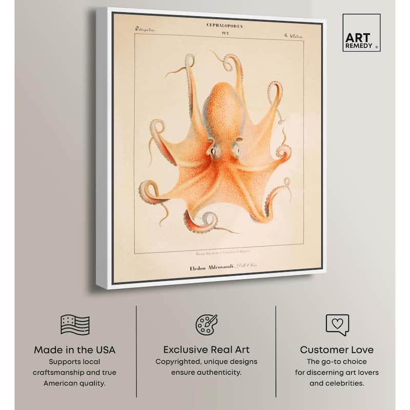 Verany The Octopus 1815 II Canvas by Art Remedy