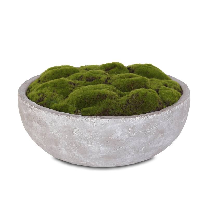 Artificial Fake Moss Arrangement in Round Stone Wash Cement Bowl - 14.5W x 14.5D x 2H
