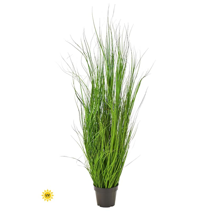 60" UV Potted Fountain Grass
