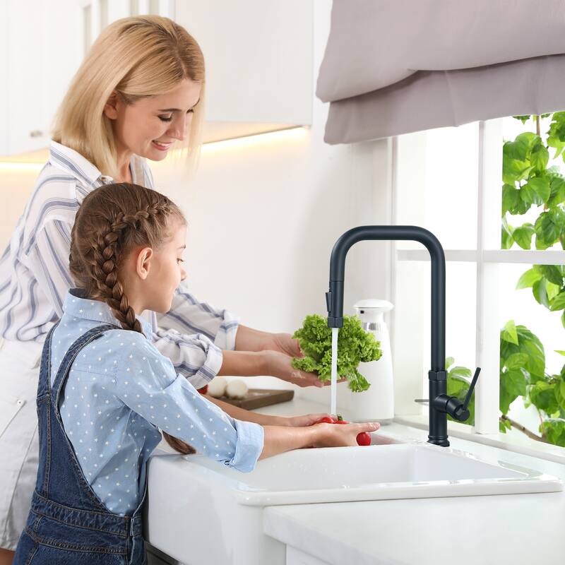 WOWOW Pull Down Sprayer Kitchen Faucet with Soap Dispenser
