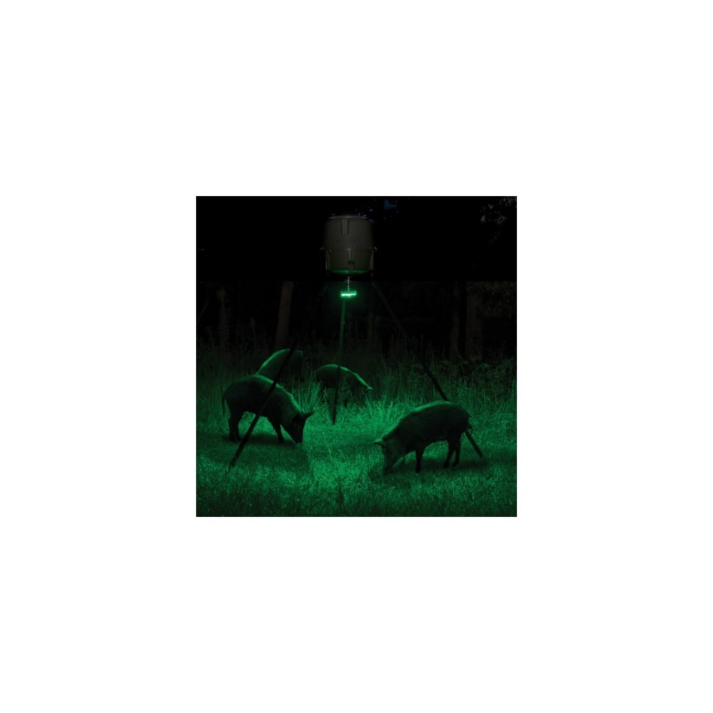 Shop Moultrie Mfa 12651 Feeder Hog Light Built In Motion Detection