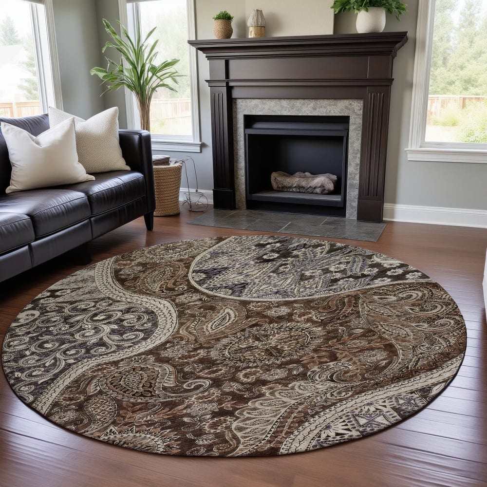 Premium Washable Super Soft Modern Paisley Mayfield Rug