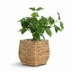 preview thumbnail 10 of 9, Woven Square Flower Pot Planter with Leak-Proof Plastic Lining Small