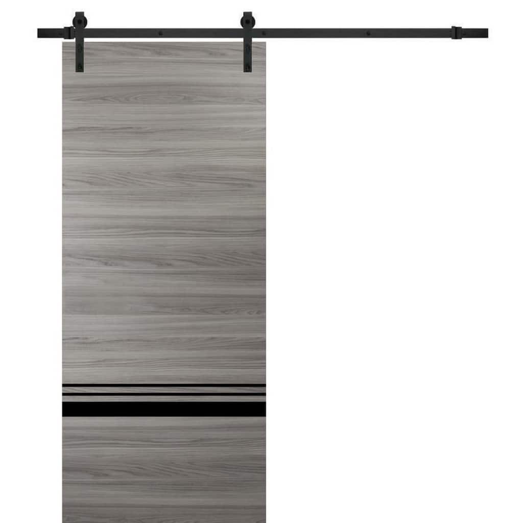 Sturdy Barn Door 36 x 80 Planum 0012 Grey Matte with 6.6FT