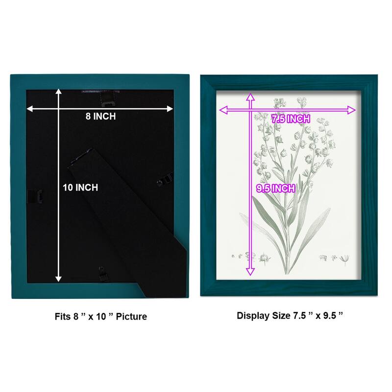 Botanical Study in Sage I -Framed Print w/glass-Cherry Red