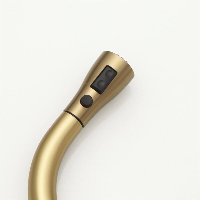 Kitchen Faucet with Pull-Out Sprayer & Deck Plate, Gold Nickel