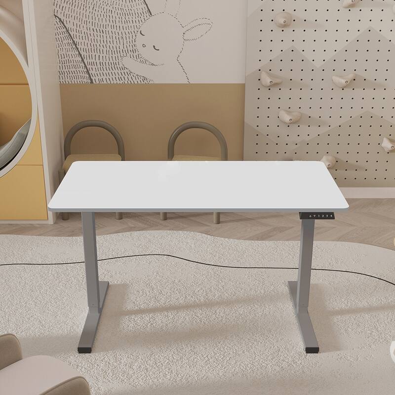 Electric Standing Desk 48x24 Inch Adjustable Office Setup - Grey+White
