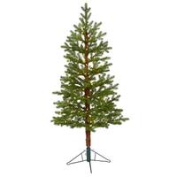 Nearly Natural Inc 5' Flocked Grand Northern Rocky Fir Artificial Christmas  Tree with Warm Micro (Multifunction with Remote Control) LED Lights