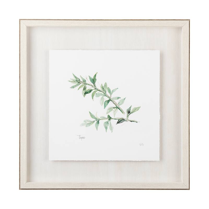 Thyme v2 Framed Art Print