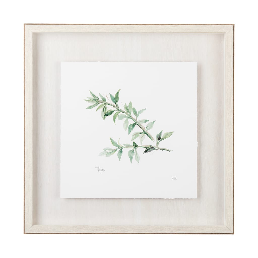 Thyme v2 Framed Art Print